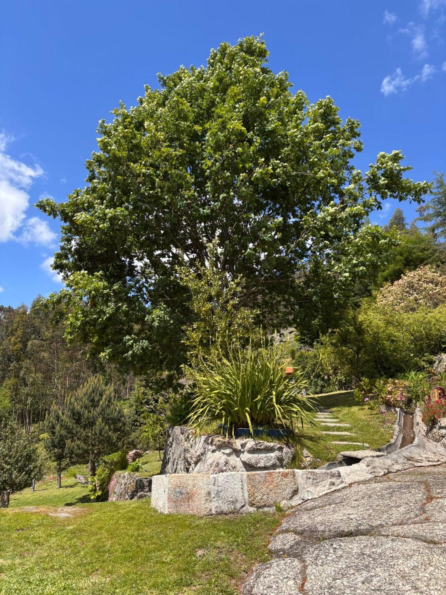 Casa Leiras