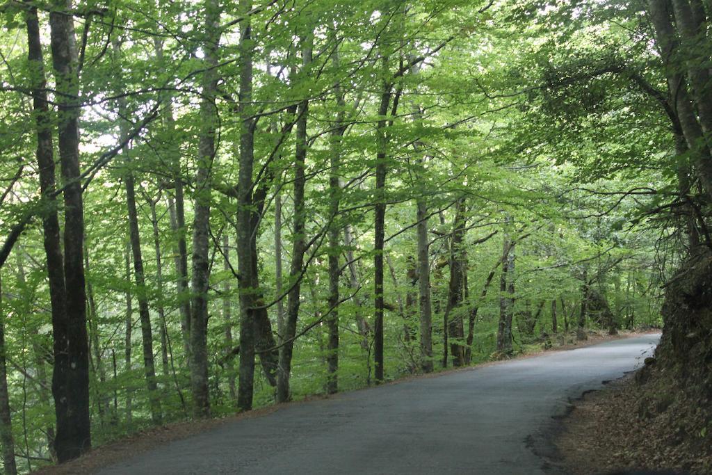 Alojamento de Turismo Rural Casa Leiras