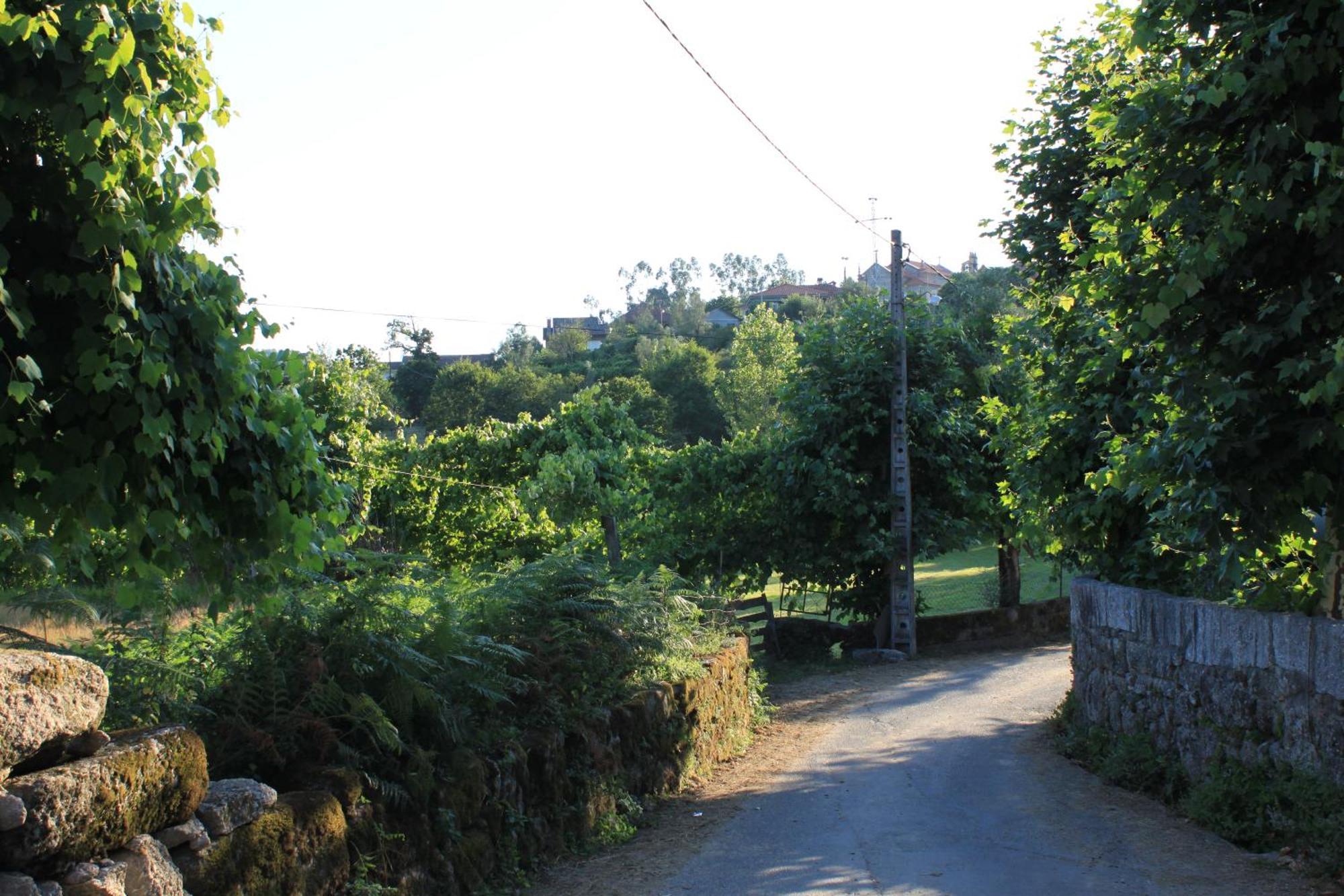 Farm stay Casa Das Leiras *